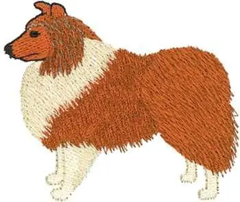 Viral Shetland Sheepdog Embroidery Design