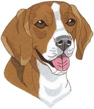 Beagle Head Embroidery Design Today Only