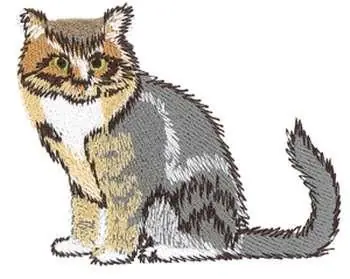 Limited Offer Maine Coon Cat Embroidery Design