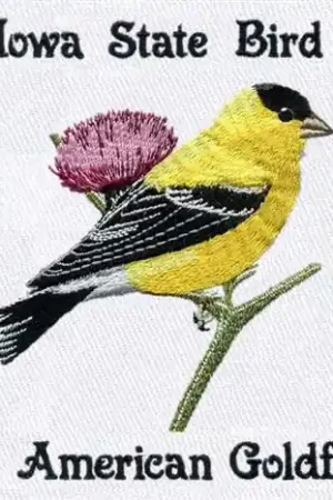 American Goldfinch Embroidery Design Sale