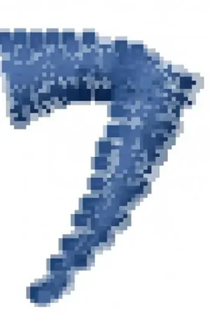 7 Monkey Fury Font 7 Embroidery Design Top Rated