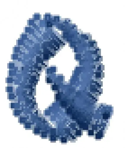New Arrival 7 Monkey Fury Font Q Embroidery Design