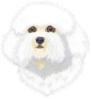 In Demand Bichon Frise Embroidery Design