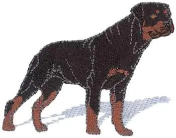 Rottweiler Embroidery Design Best Price