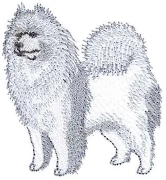 Samoyed Embroidery Design Mega Sale