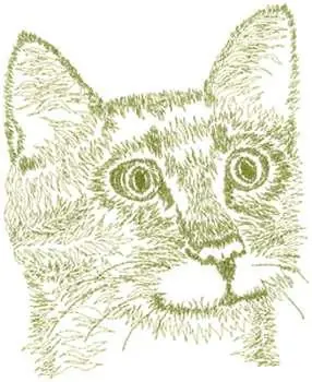 Price Drop Short Hair Cat Embroidery Design