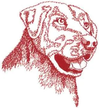Lab Embroidery Design One Day Deal