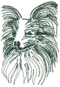 Papillon Embroidery Design Luxury