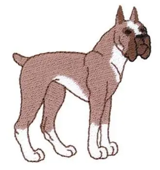 Boxer Embroidery Design Top Rated