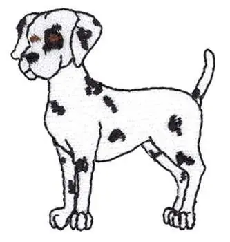 Final Sale Dalmatian Embroidery Design
