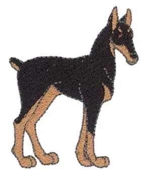 Doberman Embroidery Design Today Only