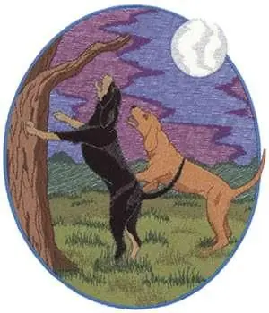 Limited Time Coonhounds Embroidery Design