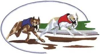 Latest Greyhound Racing Embroidery Design