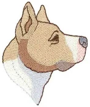 One Day Deal Pit Bull Terrier Embroidery Design