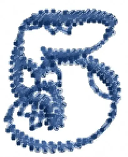 Premium Heartfilled Number 5 Embroidery Design