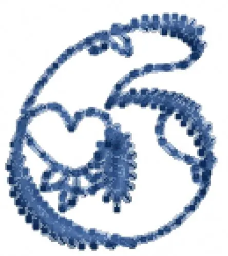 Heartfilled Number 6 Embroidery Design Must Have