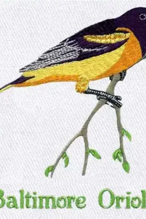Authentic Baltimore Oriole Embroidery Design