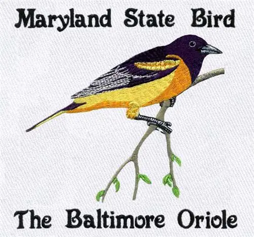 Baltimore Oriole Embroidery Design In Demand