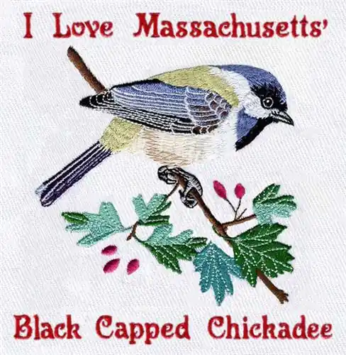 Black Capped Chickadee Embroidery Design Price Cut