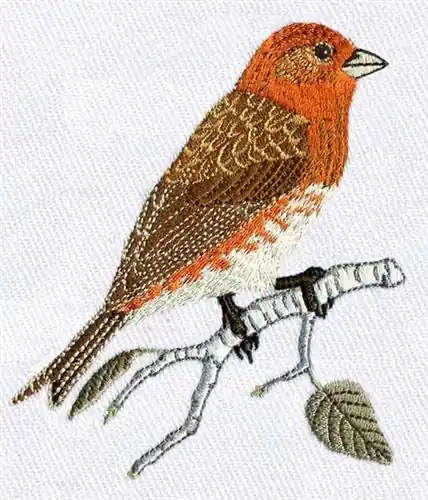 Flash Sale Purple Finch Embroidery Design
