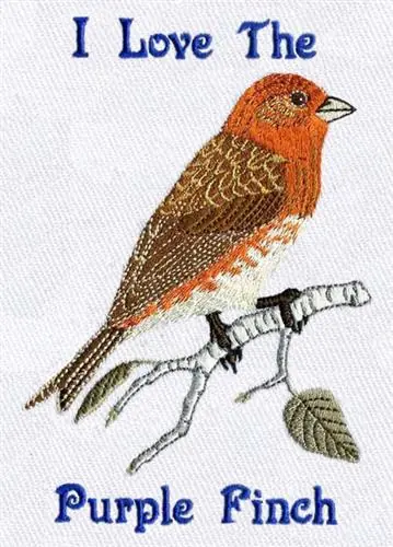 Purple Finch Embroidery Design Latest