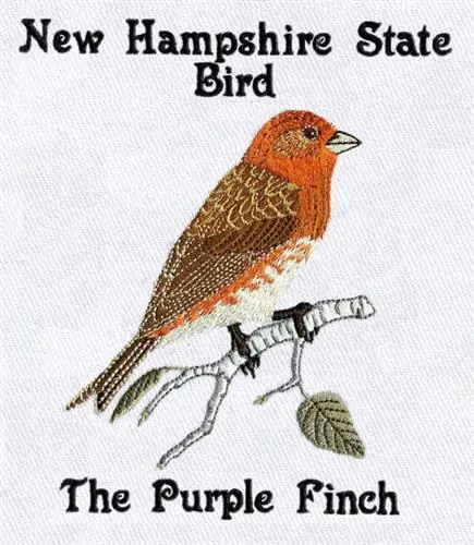 Purple Finch Embroidery Design Direct From Factory