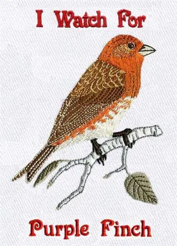 Shop Now Purple Finch Embroidery Design