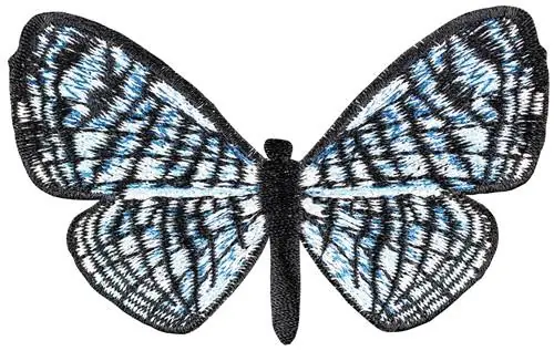 Adelotypa Curulis small Embroidery Design Buy Online
