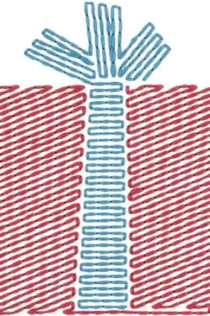 Echo Stitched Gift Embroidery Design Price Drop