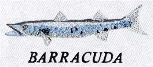 Last Chance Barracuda Embroidery Design