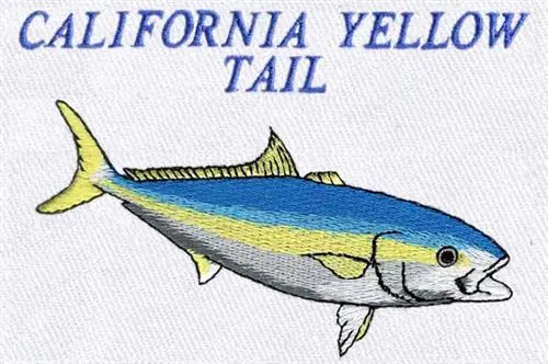 California Yellow Tail Embroidery Design Buy Online