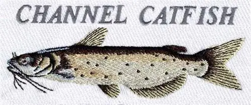 Trusted Brand Channel Catfish Embroidery Design