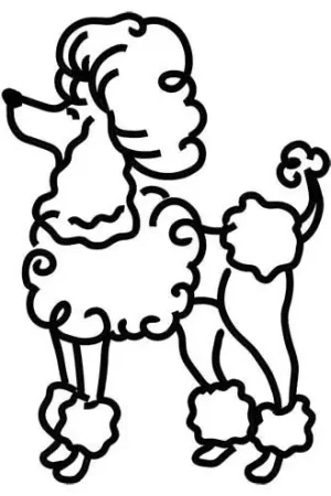Get Yours Standard Poodle Outline Embroidery Design