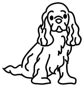 Cocker Spaniel Outline Embroidery Design Don’t Miss Out