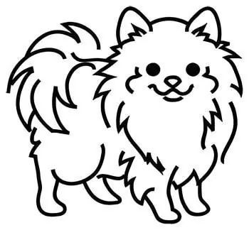 Buy Direct Pomeranian Outline Embroidery Design