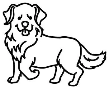 Golden Retriever Outline Embroidery Design Latest