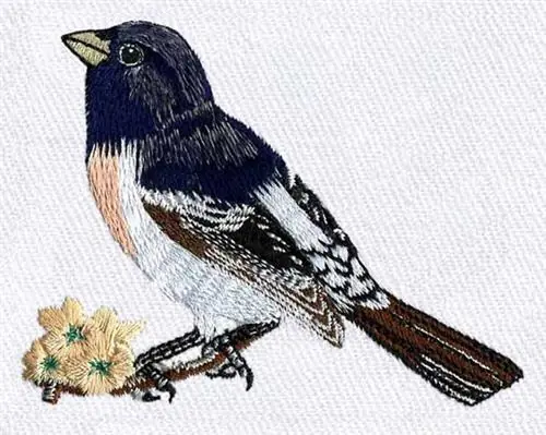 Rose Breasted Grosbeak Embroidery Design Bulk Order