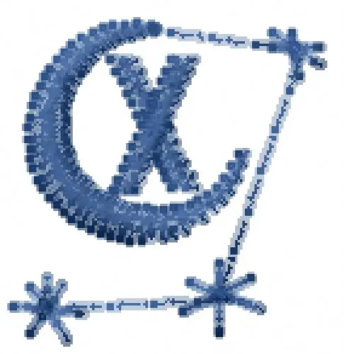 Twinkle Font X Embroidery Design Trending