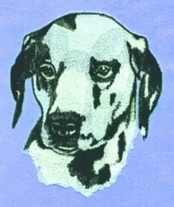 Dalmation Embroidery Design Reduced Price