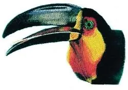 Realistic Toucan Embroidery Design Markdown