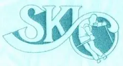 Instant Buy SKI with Skier Embroidery Design