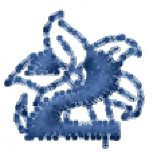 Hawaiian Number 2 Embroidery Design Buy Today