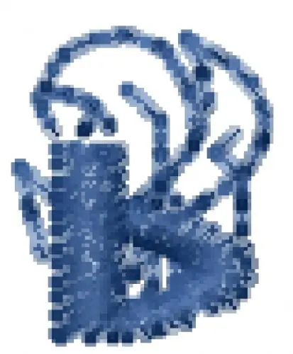 Viral Hawaiian Font b Embroidery Design