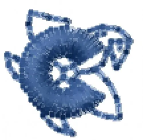 Money Back Guarantee Hawaiian Font C Embroidery Design