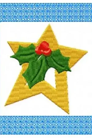 Buy Today Lacy Holly Star Embroidery Design