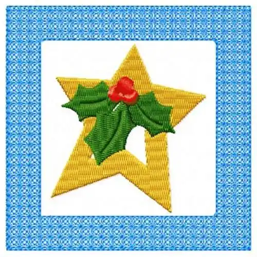 Buy Today Lacy Holly Star Embroidery Design