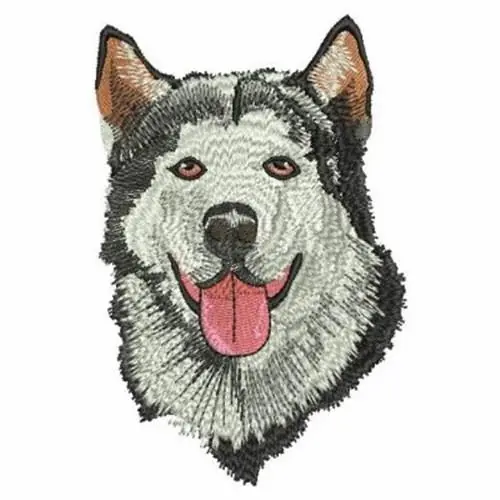 Alaskan Malamute Dog Embroidery Design Instant Buy