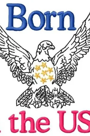 Super Sale USA National Emblem Embroidery Design