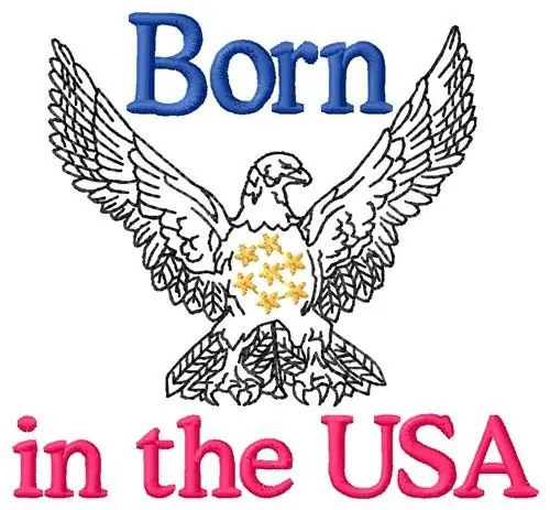 Super Sale USA National Emblem Embroidery Design