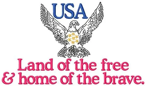Brave Eagle Of Freedom Embroidery Design Editor’s Pick